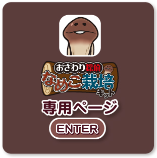 �Ȃ߂��͔|�L�b�g��p�y�[�W