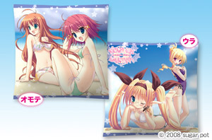 WIZARD GIRL AMBITIOUS�N�b�V����